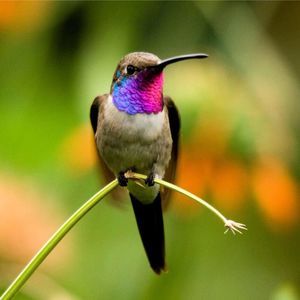 Meet your Posher, Lorna